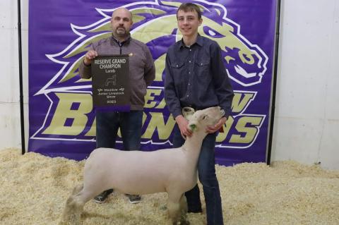 Grand Champion Lamb