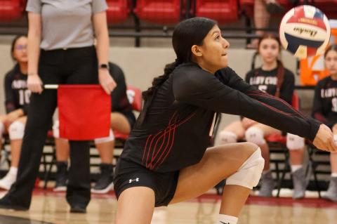Brownfield Lady Cubs volleyball team wins home non-conference match against Tulia 3-0