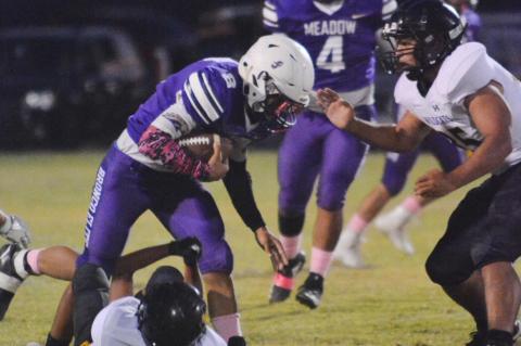 Meadow Seeking District Win