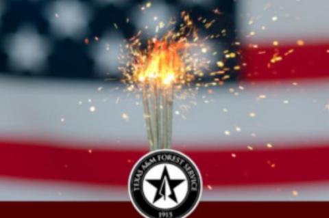 Texans should be safe, careful this Fourth of July weekend