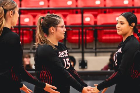 MEET THE WILDCATS