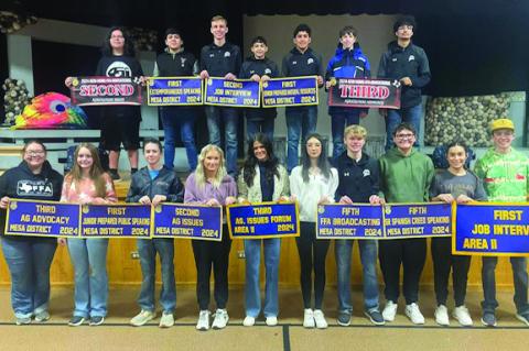 Meadow FFA wins awards