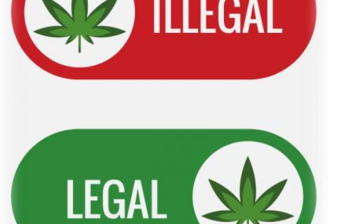 Message to pot buyers: Don't Mess With Texas
