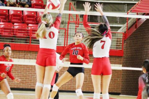 Lady Cubs sweep Fillies on the road