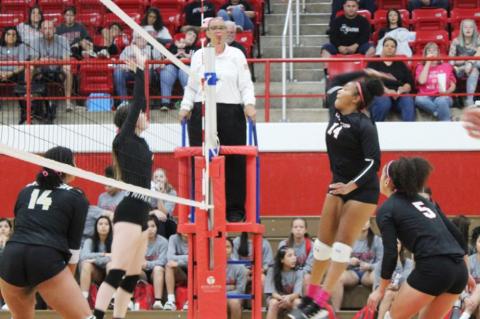 Lady Cubs sweep Lamesa
