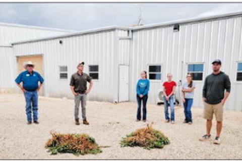 Terry County Farm Tour; 68 years and counting