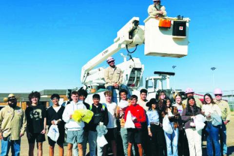 Competing in an Egg Drop Contest