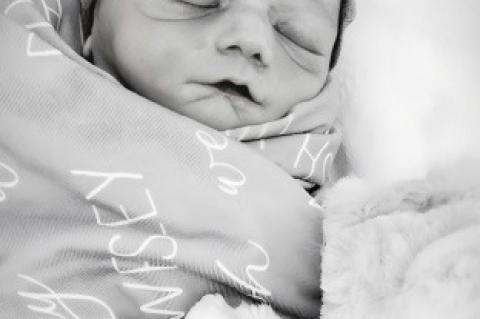 DASH WESLEY HICKSON