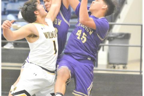 Wildcats defeat Broncos