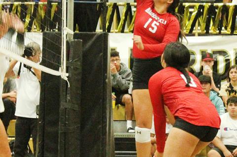 Lady Cubs Volleyball: So close, yet so far
