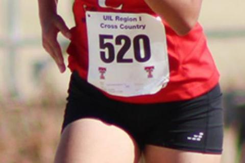 Lady Cubs compete at Class 3A cross country regional meet