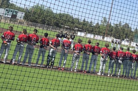 Cub’s season ends with area round loss