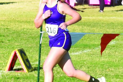 Hesse, Cantrell lead Terry County runners to Region I meet