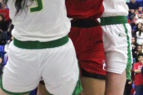 Lady Cubs title defense falls in the Area Round