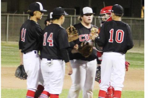The Brownfield Cubs Varsity Baseball Team