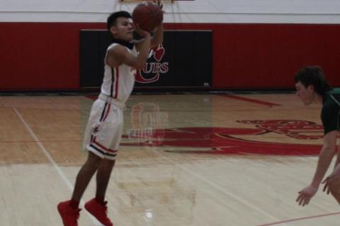 Cubs survive Class 1A Wolverines at home