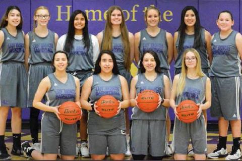 Meadow Lady Broncos