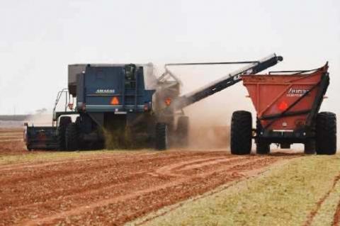 Farmers help a family amid COVID