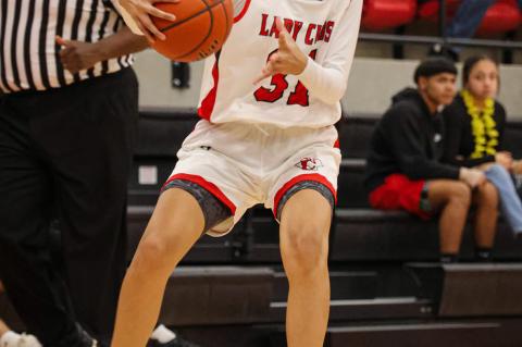 Lady Cubs outlast Lady Tigers 38-31