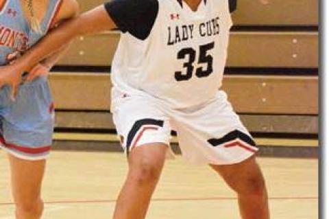 Lady Cubs drop home opener
