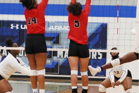 Lady Cubs Volleyball take win over Ladys Mats