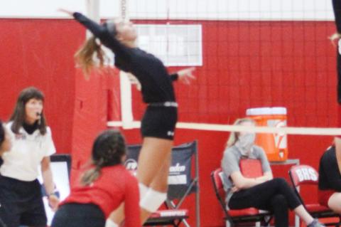 Lady Cubs dominate the night