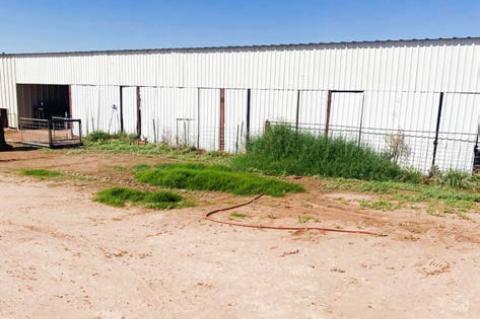 Pitching in: BISD community shows its ag spirit