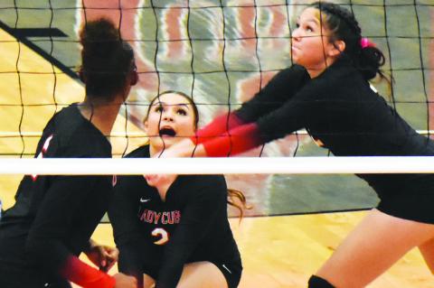 Lady Cubs volleyball drops contest to Denver City