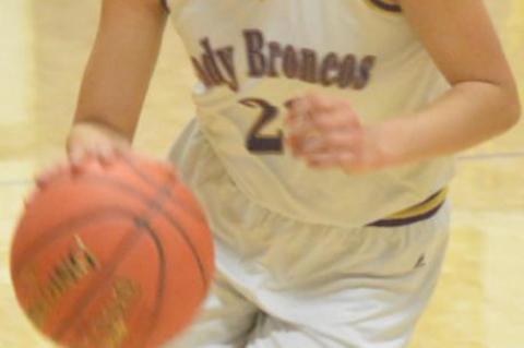 Meadow teams fall to Whiteface