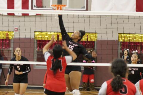 Lady Cubs earn bi-district sweep