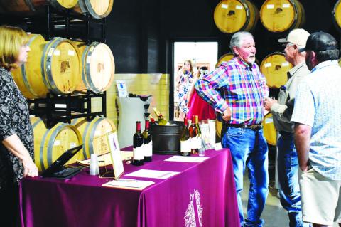 Vineyard & Wine Festival 2024 highlights