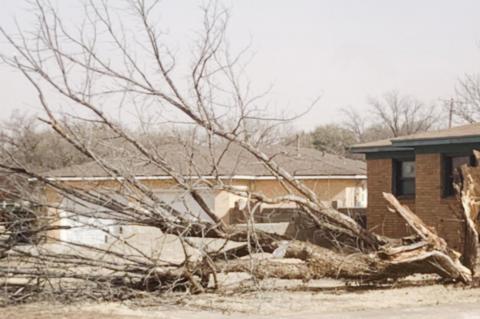 Strong winds on Tuesday