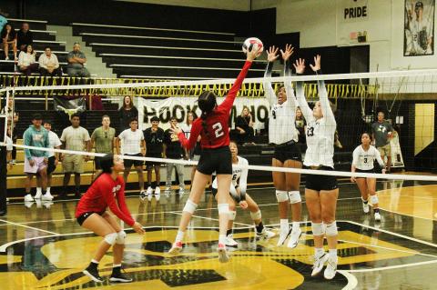 Lady Cubs Volleyball: So close, yet so far