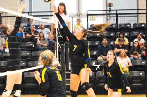 Lady Cats fall to Plains