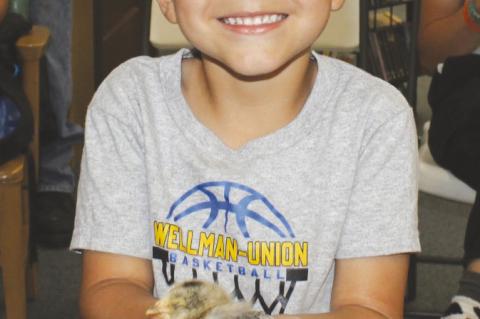 Liam Mercado holds a chick at the Library. (Photo by Lupe Perez)