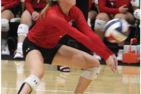 Lady Cubs battle through emotional night
