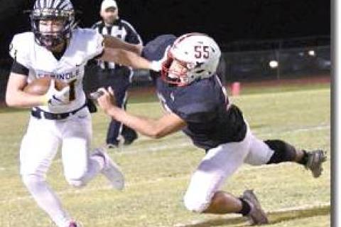 Cubs fall in final district tune-up