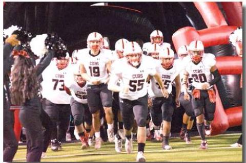 Cubs end season in Bi-District loss
