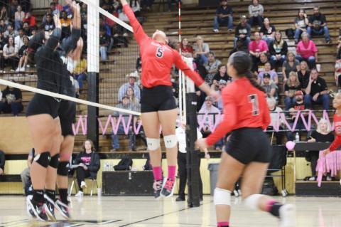 Lady Cubs clinch district title with road sweep of Lamesa