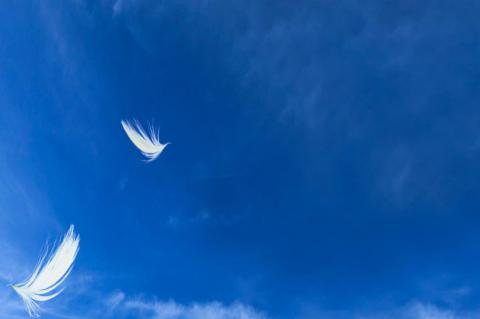 Finding A Faith To Live By