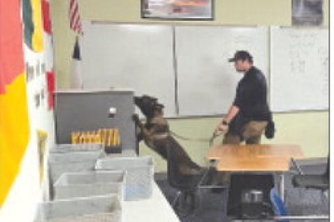 The Terry County Sheriff's Office K-9 unit is in partnership with Wellman-Union ISD do monthly walk throughs in an effort to keep students safe. (Photos by Wellman-Union ISD)
