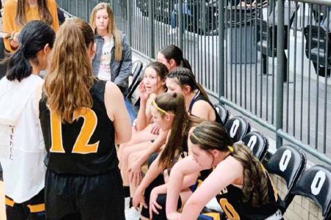 Lady Cats Struggle & Wildcats Fall