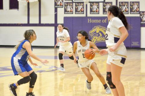 Wildcats & Lady Cats!