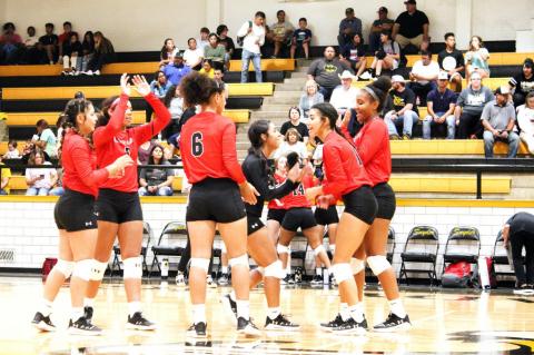 Lady Cubs volleyball sweep Lady Tigers on the road