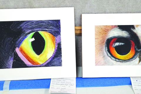 Brownfield Art Association Art Show
