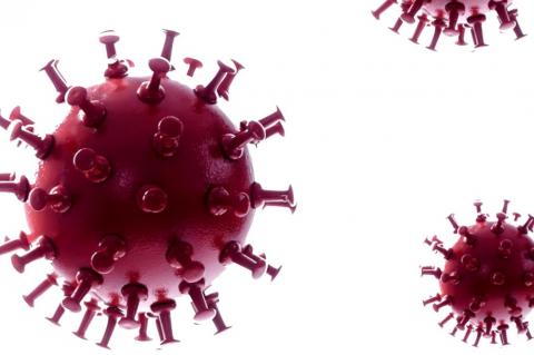 Current COVID-19 Virus Information