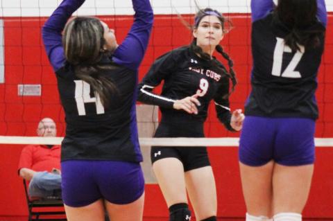 Lady Cubs sweep Bobbies