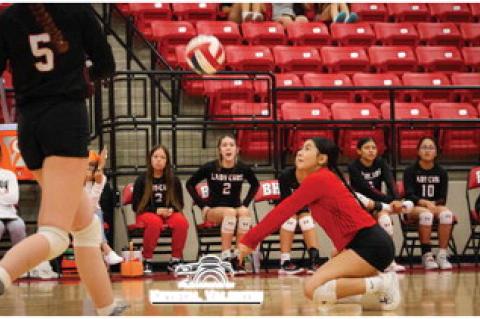 Lady Cubs fall to Plains in final pre-district game