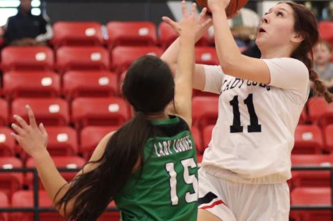 Lady Cubs split a pair before the break