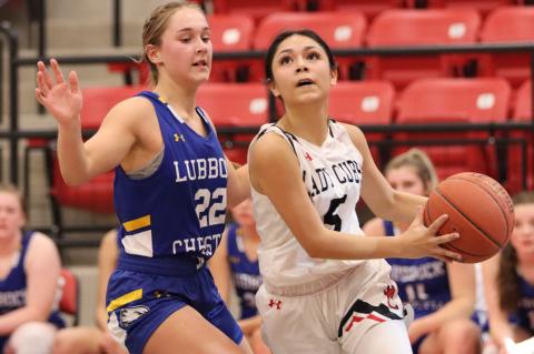 Lady Cubs split a pair before the break